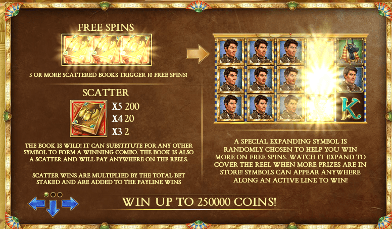 Book Of Dead Infographic